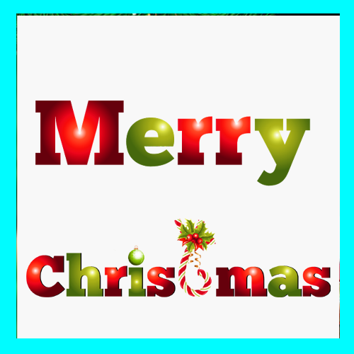 Merry Christmas Wish Card Card